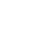 LinkedIn logo icon